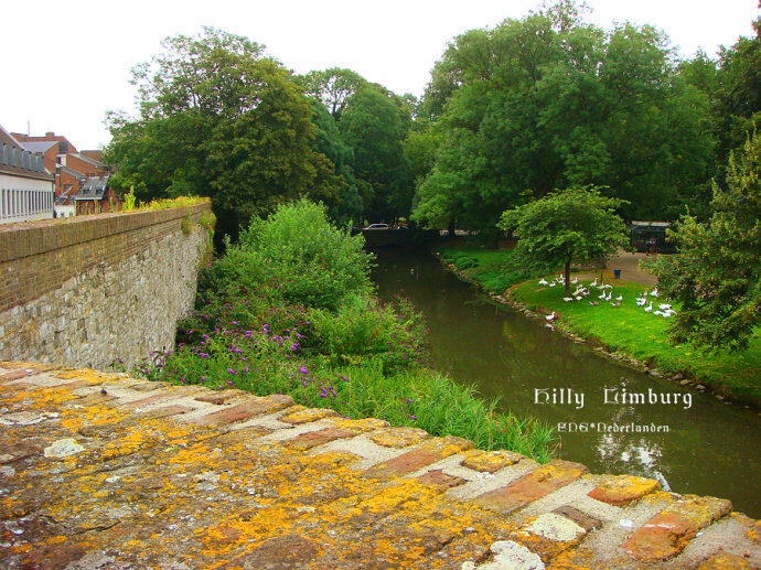 【低地正传】马斯特里赫特—最比利时的荷兰(上)