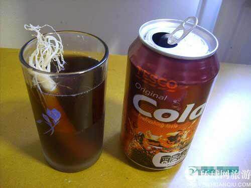 花旗参配可乐 花旗参配可乐