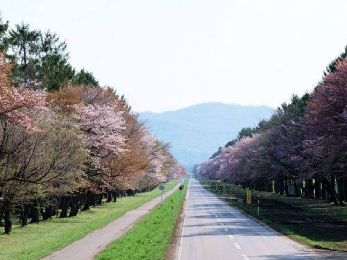北海道 北海道