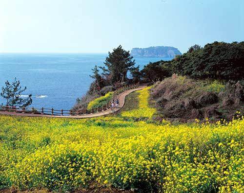 济州岛 济州岛