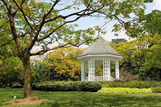 新加坡植物园 新加坡植物园