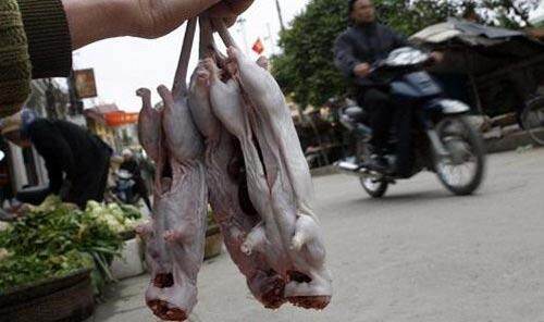 一个捕鼠能手每天可以赚得4美元 一个捕鼠能手每天可以赚得4美元