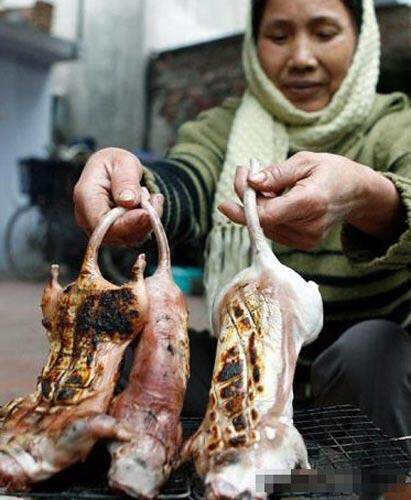 鼠肉是乡下人最主要的蛋白质来源 鼠肉是乡下人最主要的蛋白质来源