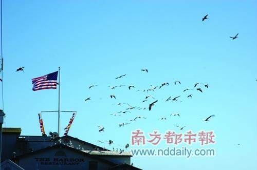 圣巴巴拉的海边景观。 圣巴巴拉的海边景观。