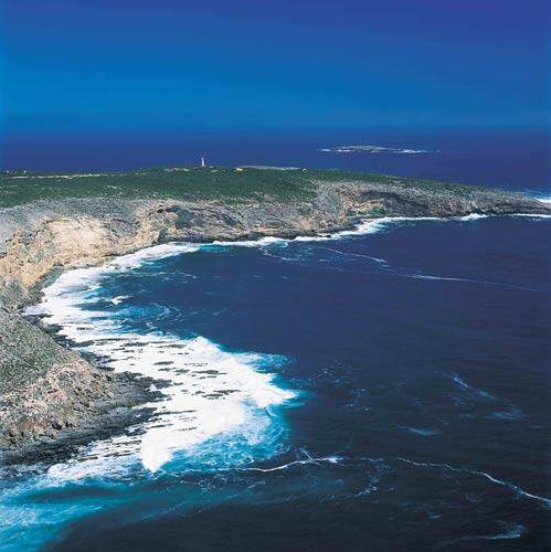Pristine Coastline 袋鼠岛海 Pristine Coastline 袋鼠岛海