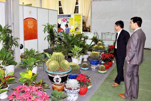 2010越中农产品和手工艺品博览会在河内举行