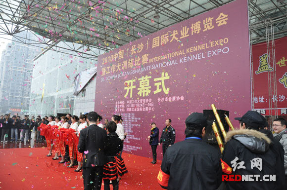 中外名犬大集结 2010长沙犬博会盛大揭幕