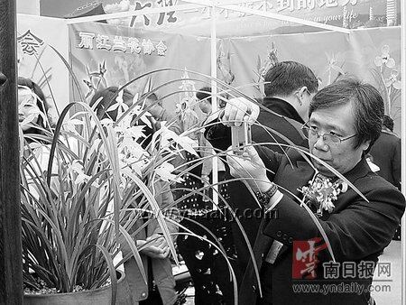 双花博览会大理启幕