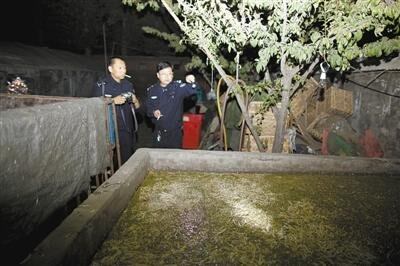 漂白豆芽黑作坊被查 作坊内发现大量添加物